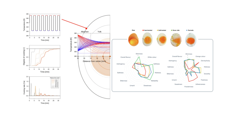 'das perfekte ei' - darstellung aus nature.com-Veröffentlichung